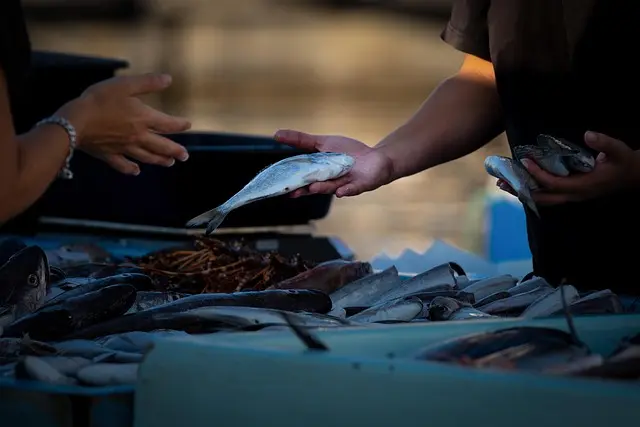 5 astuces pour bien choisir votre poisson frais au marché