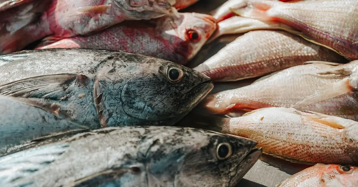 Les bienfaits des poissons frais pour votre santé