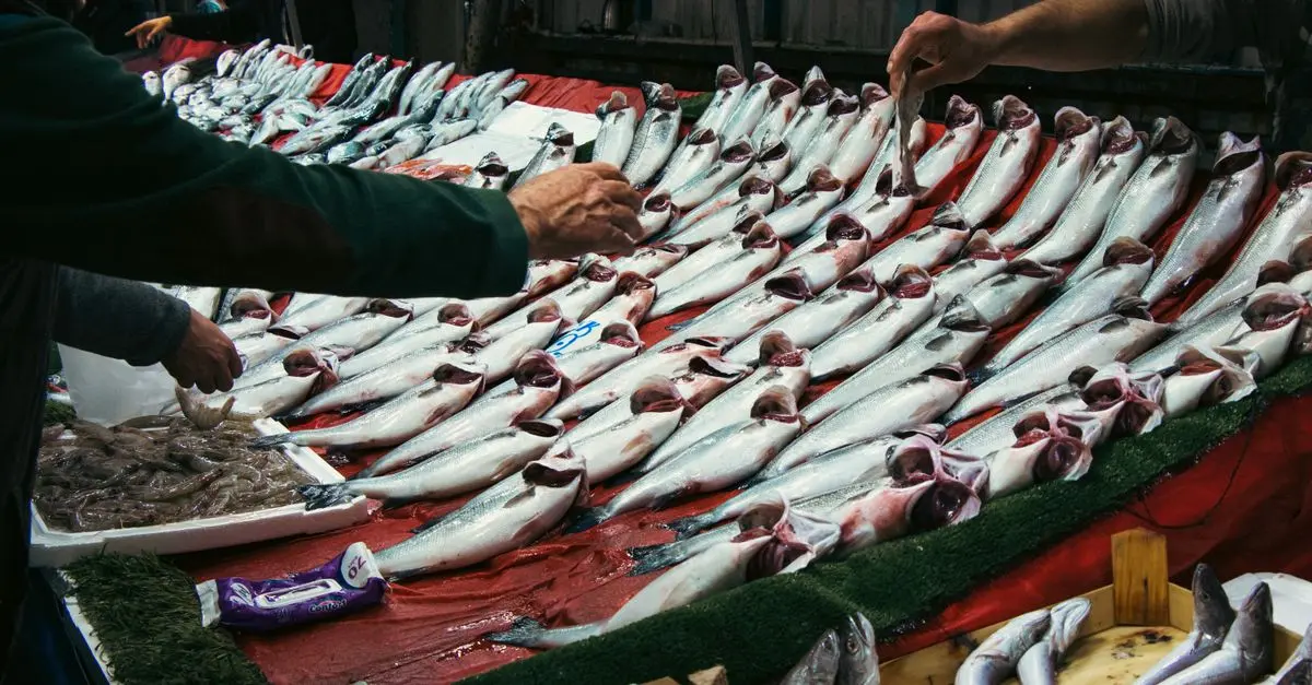 Les 10 erreurs à éviter lors de l'achat de poisson frais