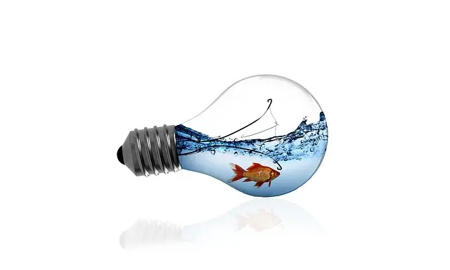 Comment préparer un poisson frais à la vapeur pour une saveur optimale