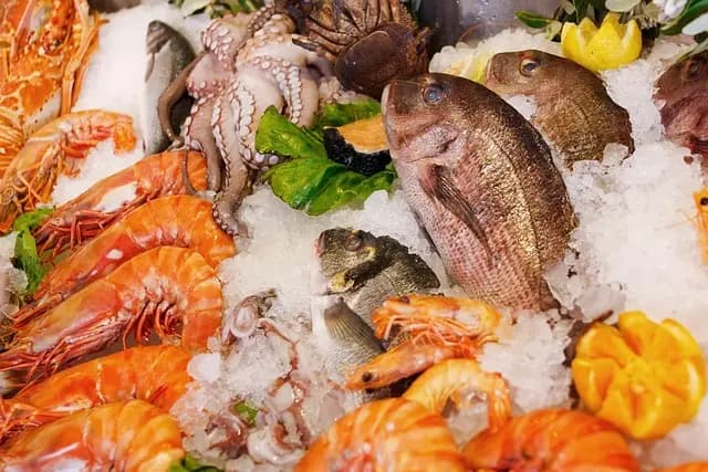 Les Bienfaits du Poisson Frais pour la Santé