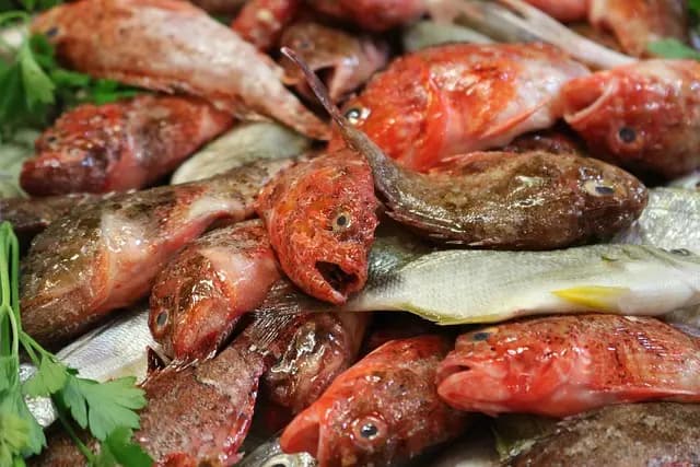 Comment bien choisir le poisson frais au marché