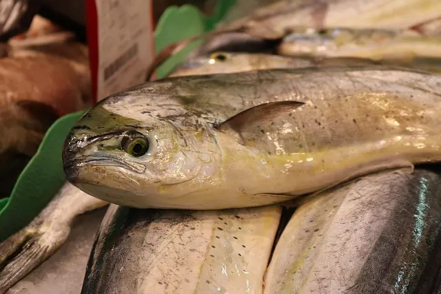 Secrets pour Choisir le Poisson Frais idéal pour vos Recettes