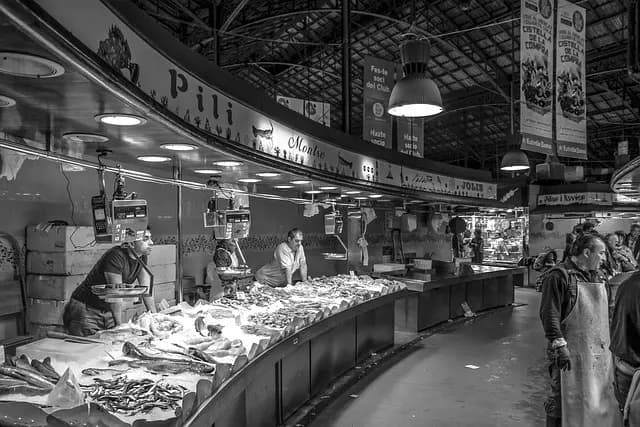Les Meilleures Techniques Pour Évaluer la Fraîcheur du Poisson