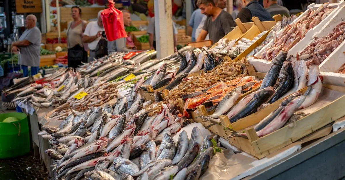 10 Astuces Pour Évaluer la Fraîcheur du Poisson