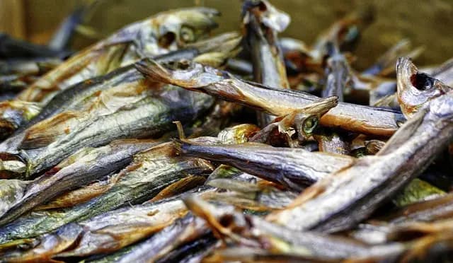 7 Astuces Pour Évaluer la Fraîcheur du Poisson Frais
