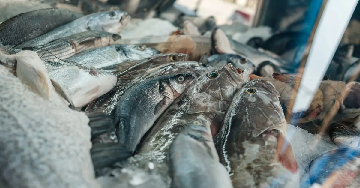 Astuces pour Réduire le Gaspillage de Poissons Frais