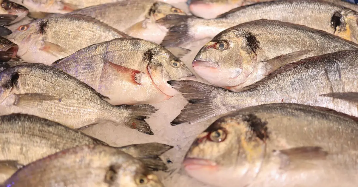 Comment bien choisir un poisson frais à la poissonnerie
