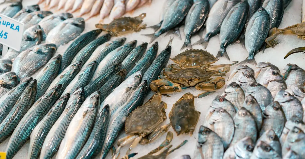 7 astuces pour bien sélectionner votre poisson frais au marché
