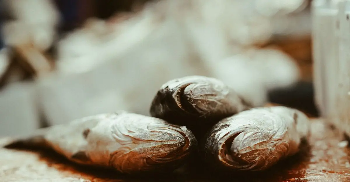 Comment préparer un poisson frais pour un plat santé
