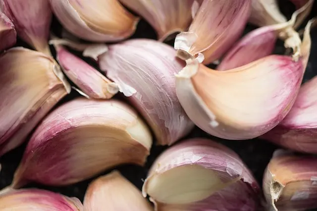 Les erreurs à éviter lors de la préparation du poisson frais