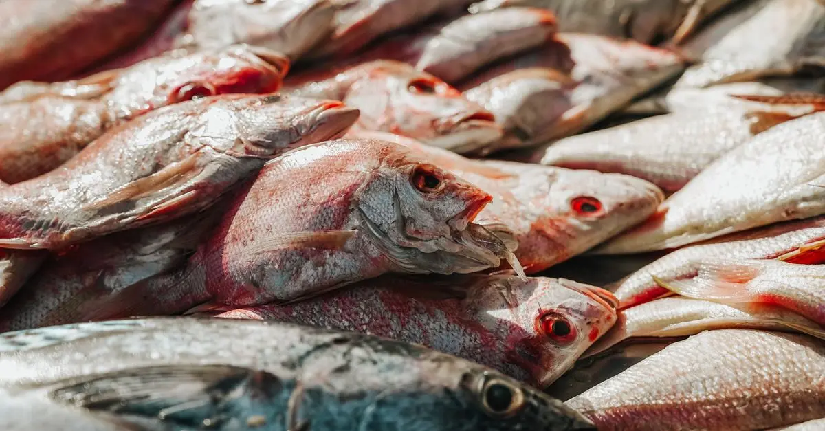 7 Astuces Pour Évaluer la Fraîcheur du Poisson