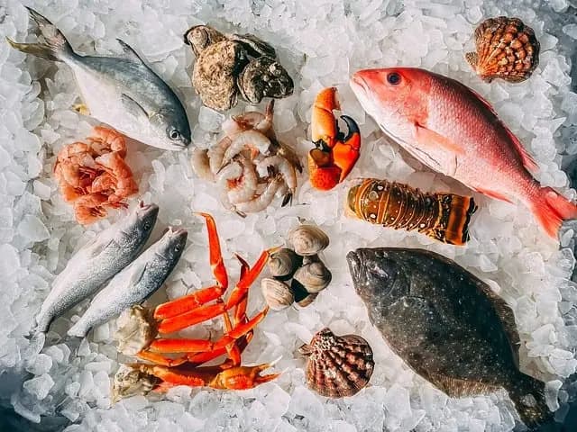 Comment choisir le poisson frais idéal pour vos recettes