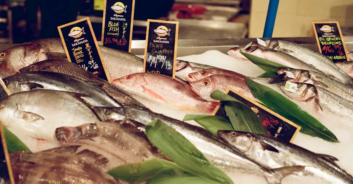 Les meilleures techniques de conservation des poissons frais