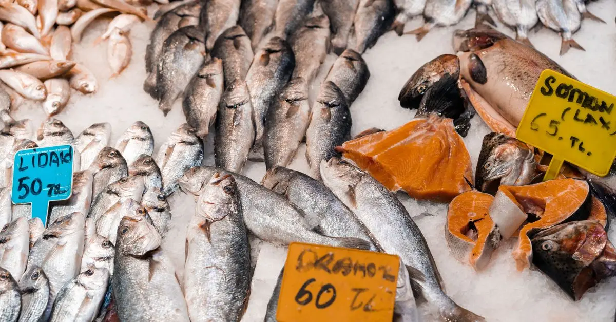 10 Astuces Pour Choisir le Poisson Frais Idéal