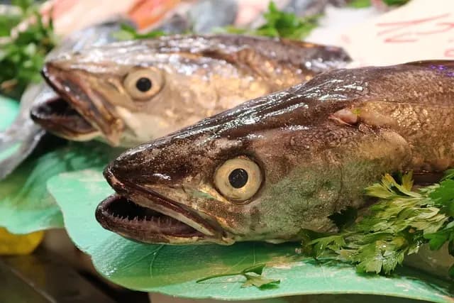 Poisson frais en ligne : est-ce une bonne idée ?
