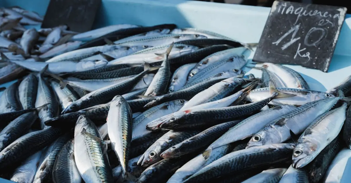 Les erreurs à éviter lors de l'achat de poisson frais