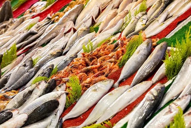 Impact du changement climatique sur les poissons frais