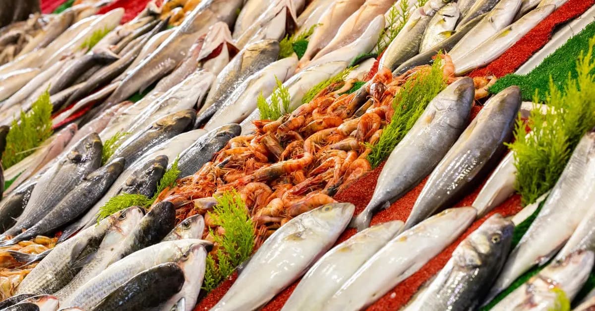5 Astuces Pour Évaluer la Fraîcheur du Poisson