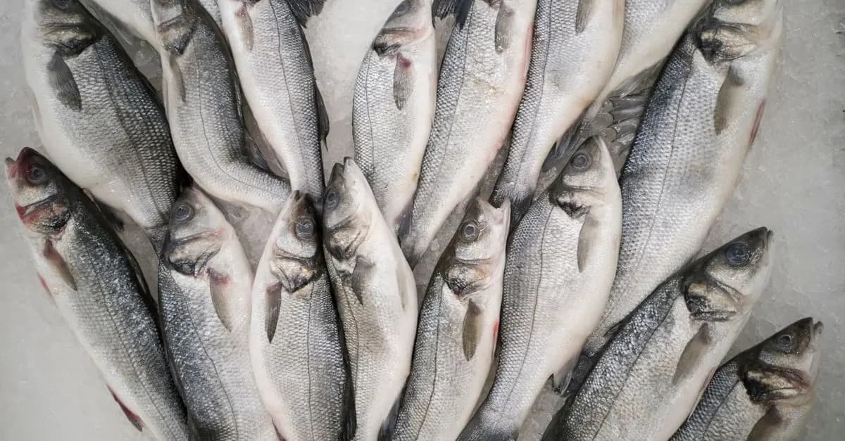 Poisson frais et allergènes : ce qu'il faut savoir