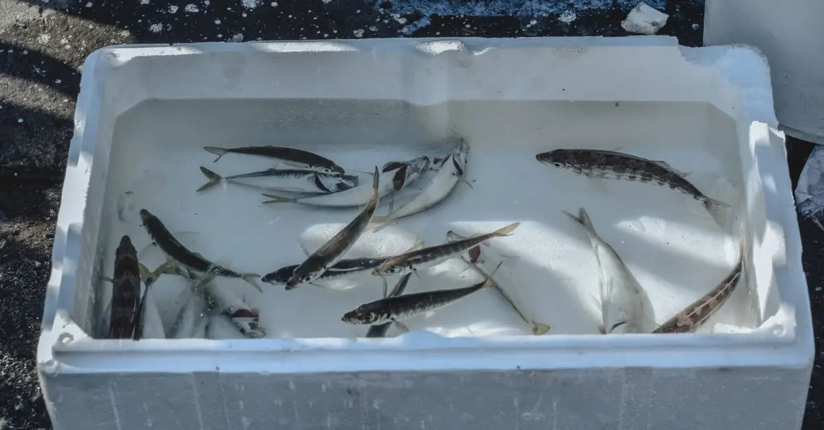 Guide pour éviter les poissons à forte teneur en mercure