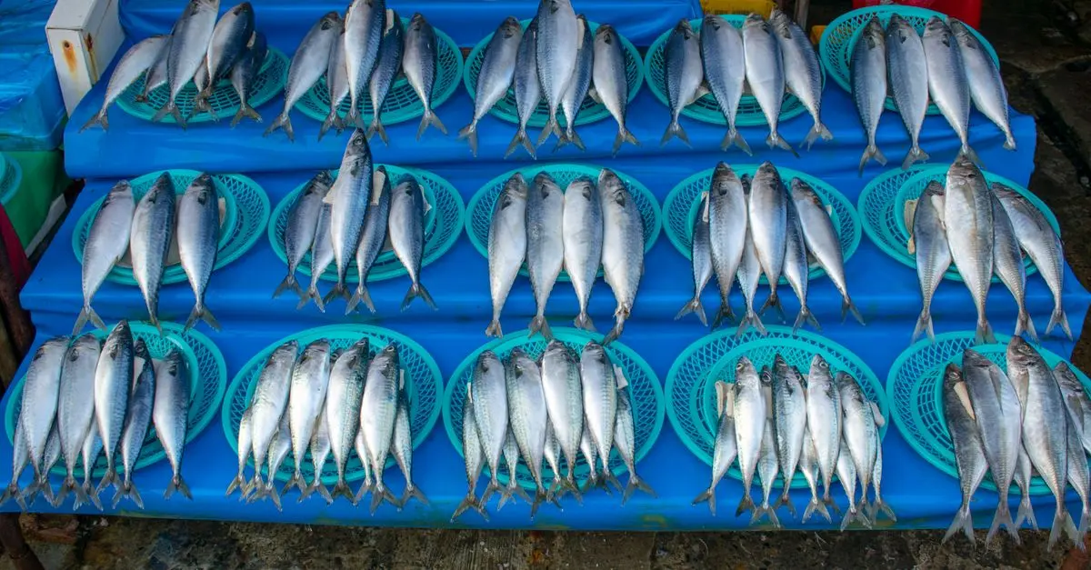 Les erreurs courantes lors de l'achat de poisson frais