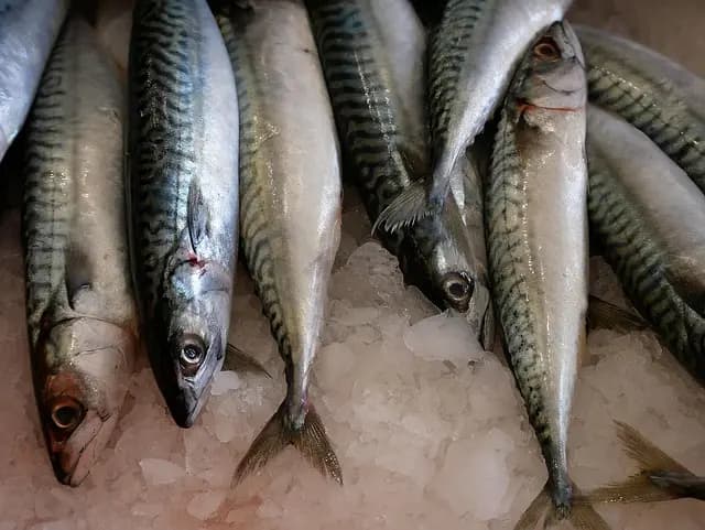 Les meilleures techniques pour cuisiner du poisson frais