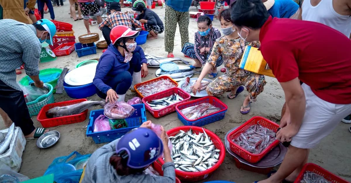 Les bienfaits du poisson frais sur votre santé et votre bien-être