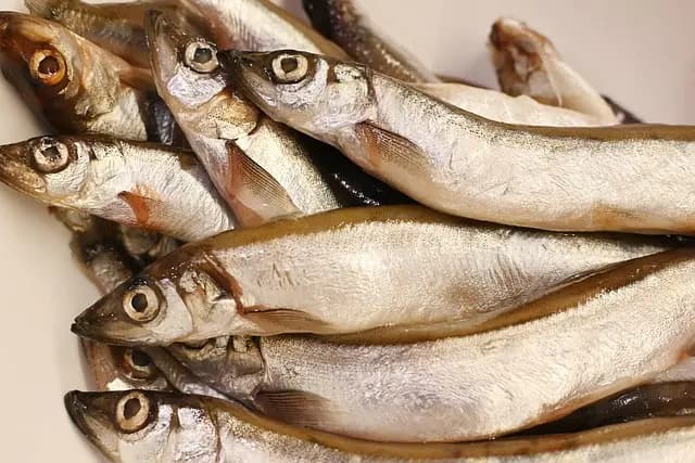 Les erreurs à éviter lors de l'achat de poisson frais