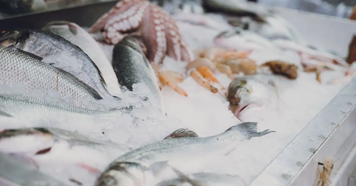 Les bienfaits surprenants du poisson frais pour la santé