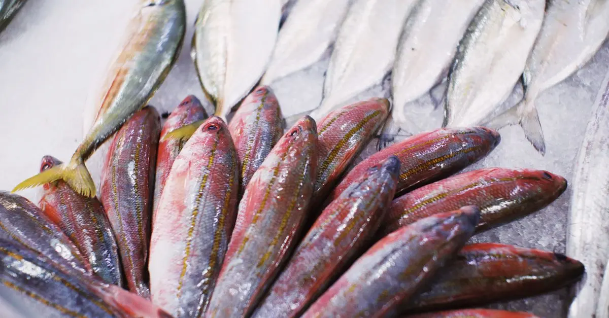 Les erreurs à éviter pour acheter du poisson frais de qualité
