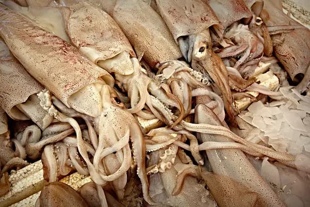 Pourquoi le poisson frais est essentiel pour votre santé