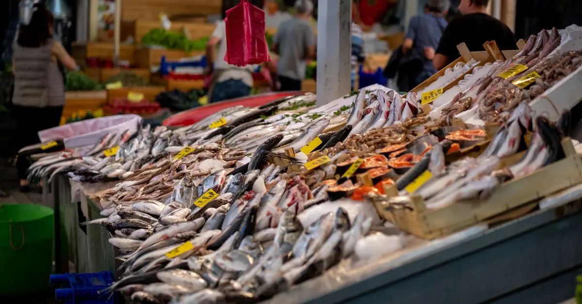 Les 10 Poissons Frais à Déguster Selon les Saisons