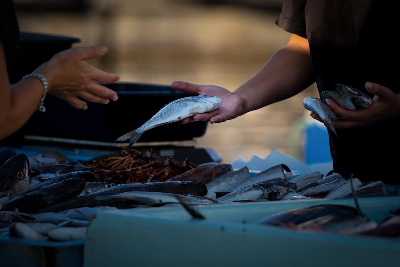 Les erreurs à éviter lors de l'achat de poisson frais