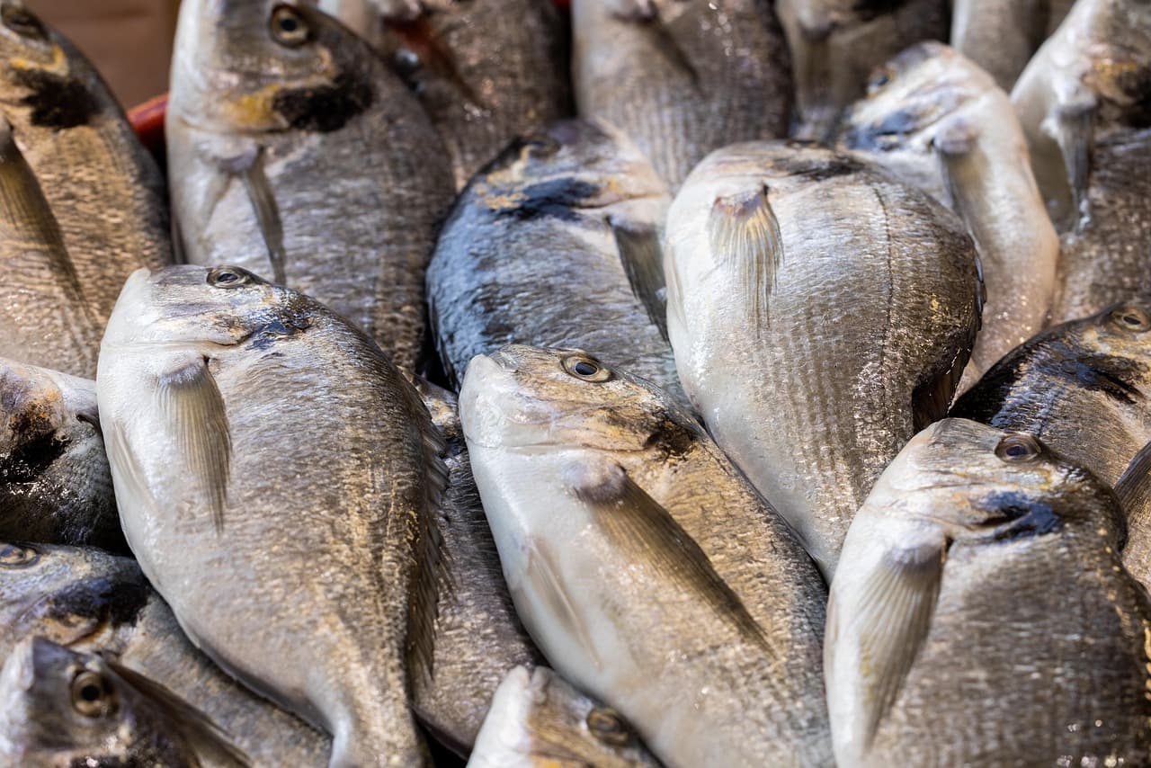 Correction de la mythologie : réalités sur le poisson frais