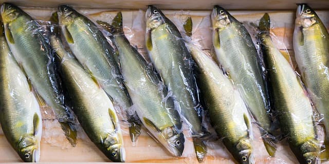 Choisir le poisson frais idéal pour vos recettes